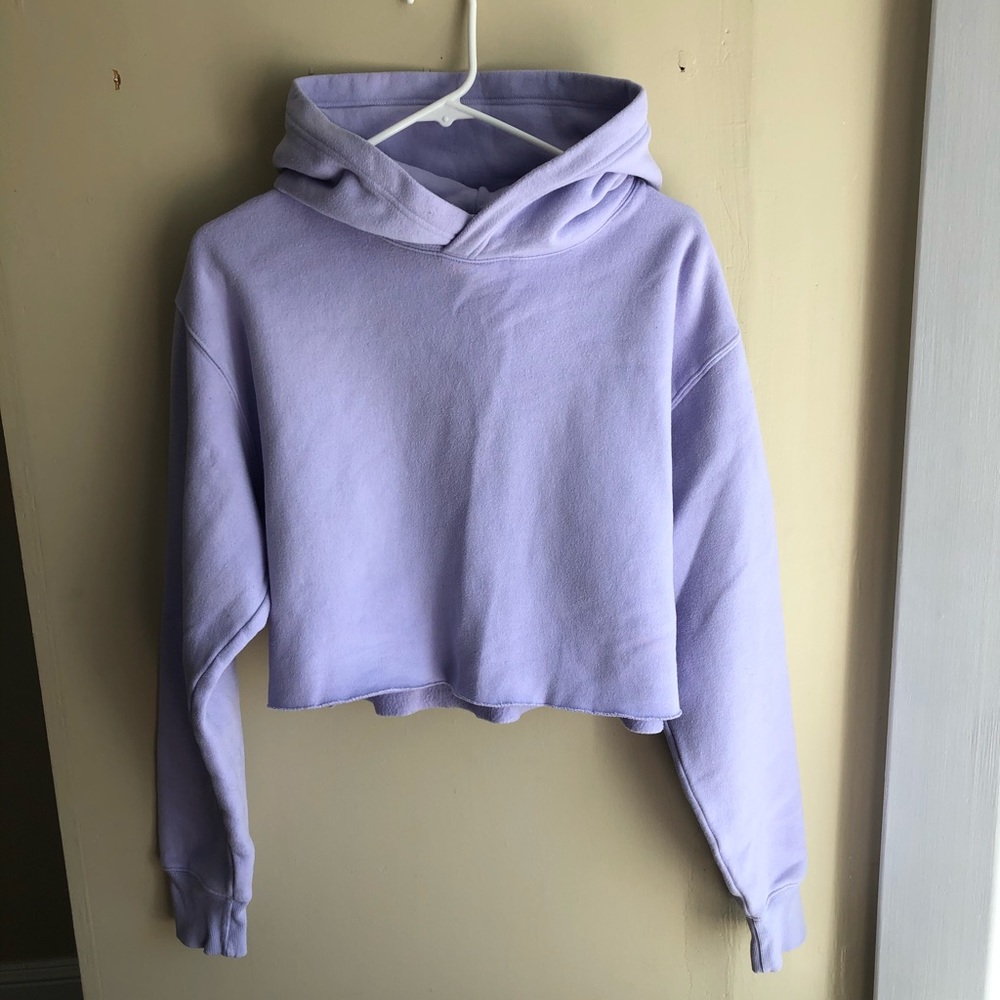 Aritzia perfect hoodie - cropped